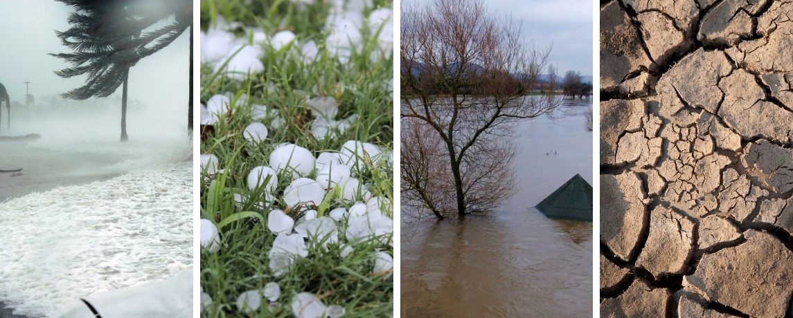 inquinamento globale_effezeta 